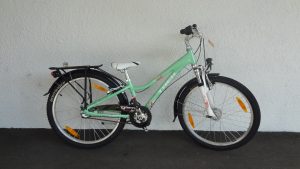 Trek MT 220 E